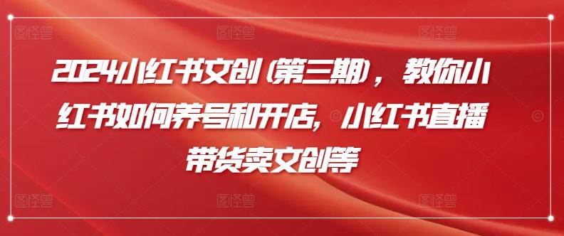 2024小红书文创(第三期)，教你小红书如何养号和开店，小红书直播带货卖文创等-冒泡网