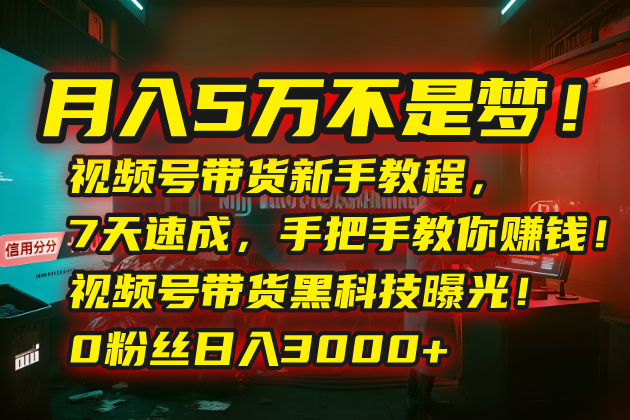 月入5万不是梦！视频号带货新手教程，7天速成，手把手教你赚钱！视频号…-冒泡网