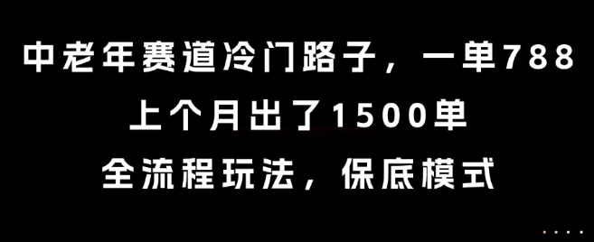 中老年赛道冷门路子，一单788，上个月出了1500单，全流程玩法，保底模式【揭秘】-冒泡网