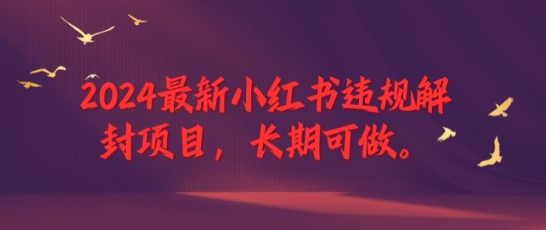 2024最新小红书违规解封项目，长期可做，一个可以做到退休的项目【揭秘】-冒泡网