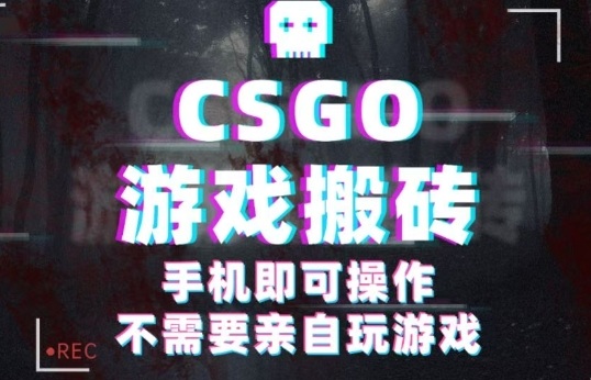 CSGO游戏挂G捡漏，单日扫货5张+，年底小高峰上车可吃肉，手机即可操作，兼职副业创业网创【揭秘】-冒泡网