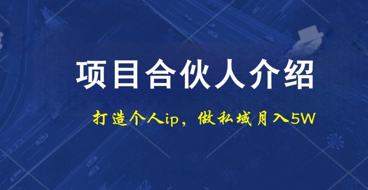 项目合伙人项目，打造个人IP，做私域月入5W，小白勿扰-冒泡网
