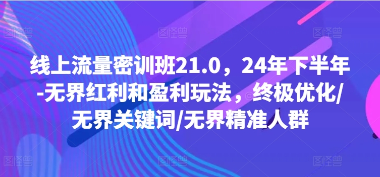 线上流量密训班21.0，24年下半年-无界红利和盈利玩法，终极优化/无界关键词/无界精准人群-冒泡网