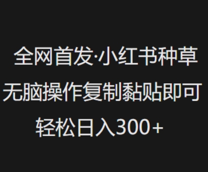 全网首发，小红书种草无脑操作，复制黏贴即可，轻松日入3张-冒泡网