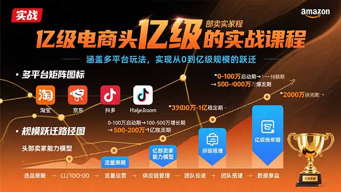 亿级电商头部卖家的实战课程：涵盖多平台玩法，实现从0到亿级规模的跃迁-冒泡网