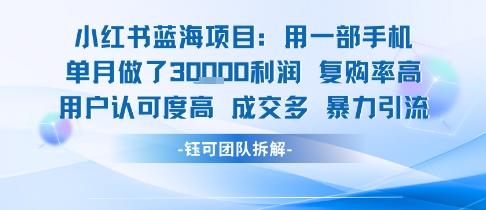 小红书蓝海项目，一部手机单月做了3W利润，小白也能月入过1W用户认可度高成交多-冒泡网