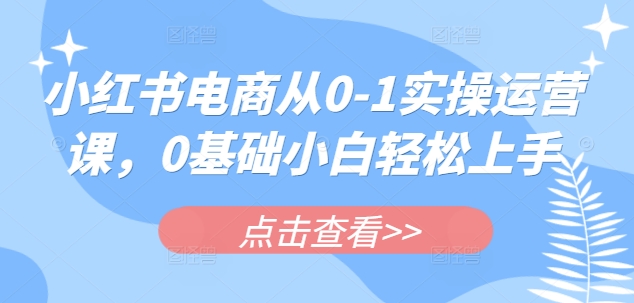 小红书电商从0-1实操运营课，0基础小白轻松上手-冒泡网
