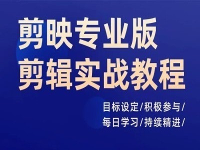 剪映专业版剪辑实战教程，目标设定/积极参与/每日学习/持续精进-冒泡网