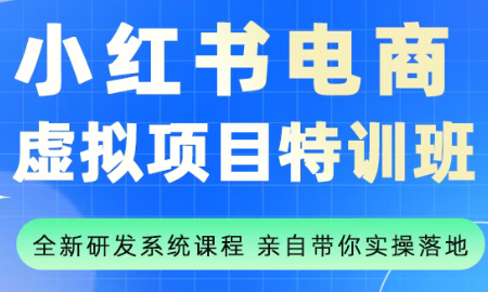 陆明明·小红书虚拟项目特训班(更新9月)-冒泡网