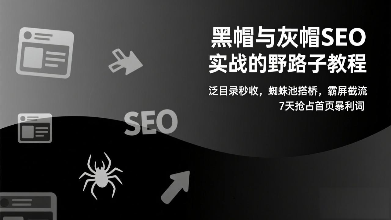 黑帽与灰帽SEO实战的野路子教程：泛目录秒收，蜘蛛池搭桥，霸屏截流，7天抢占首页暴利词-冒泡网