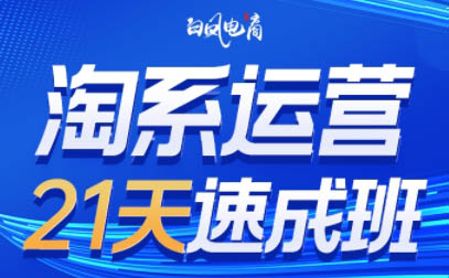 白凤电商·淘系运营21天速成班(更新3月)-冒泡网