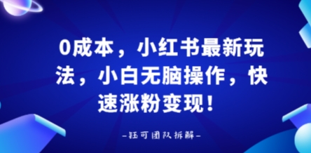 0成本，小红书最新玩法，小白无脑操作，快速涨粉变现-冒泡网
