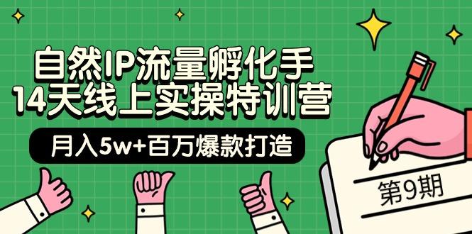 (9881期)自然IP流量孵化手 14天线上实操特训营【第9期】月入5w+百万爆款打造 (74节)-冒泡网