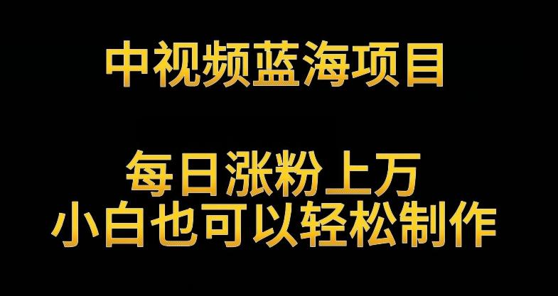 中视频蓝海项目，解读英雄人物生平，每日涨粉上万，小白也可以轻松制作，月入过万不是梦【揭秘】-冒泡网
