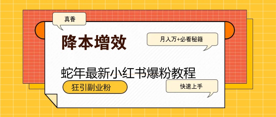 蛇年最新小红书爆粉教程，狂引副业粉，月入万+必看-冒泡网