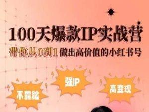 小红书100天爆款IP实战营，带你从0到1做出高价值的小红书号-冒泡网