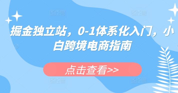 掘金独立站，0-1体系化入门，小白跨境电商指南-冒泡网