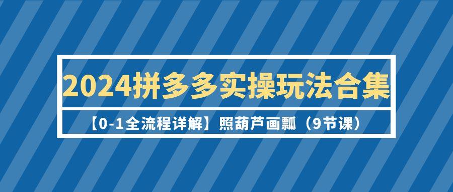 (9559期)2024拼多多实操玩法合集【0-1全流程详解】照葫芦画瓢(9节课)-冒泡网