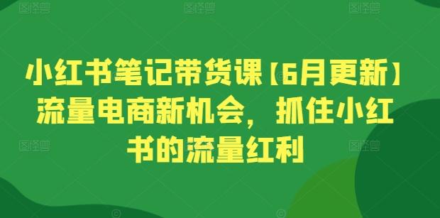 小红书笔记带货课【6月更新】流量电商新机会，抓住小红书的流量红利-冒泡网