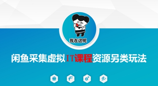 闲鱼采集虚拟IT课程资源另类玩法，干货满满-冒泡网