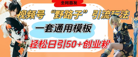 视频号“野路子”玩法，评论区疯狂截流，一套模板单日单号引流50+创业粉-冒泡网