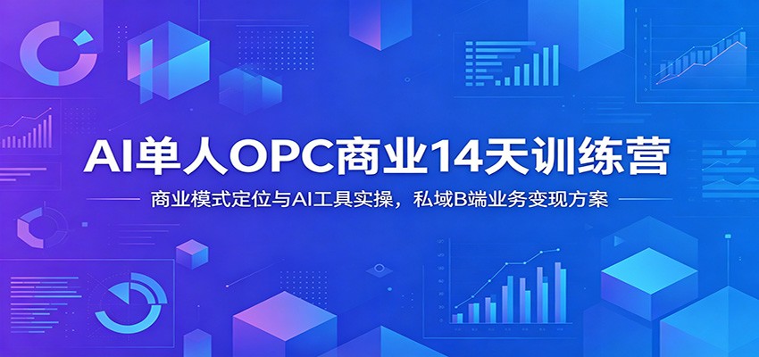 AI单人OPC商业14天训练营：商业模式定位与AI工具实操，私域B端业务变现方案-冒泡网