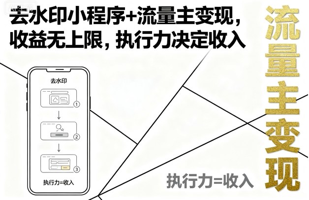 去水印小程序+流量主变现,收益无上限,执行力决定收入-冒泡网