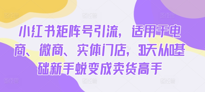 小红书矩阵号引流，适用于电商、微商、实体门店，30天从0基础新手蜕变成卖货高手-冒泡网