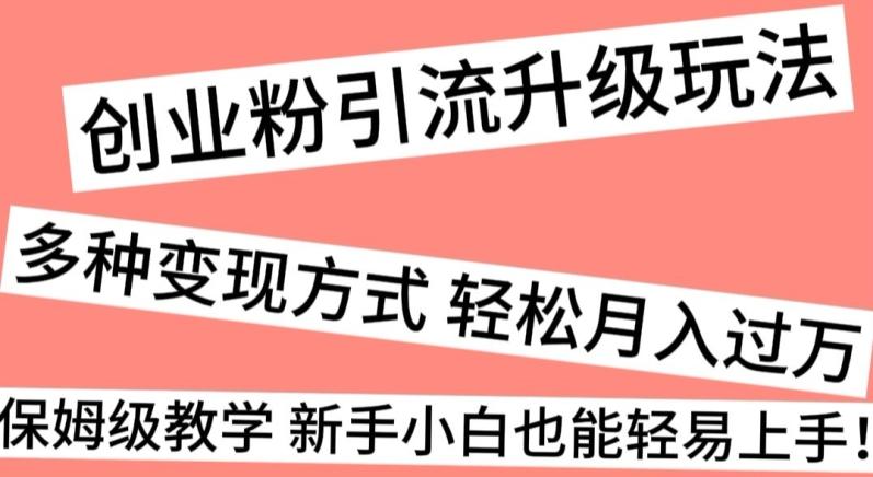 创业粉引流升级玩法，多种变现方式轻松月入过万，保姆级教学新手小白也能轻易上手！-冒泡网