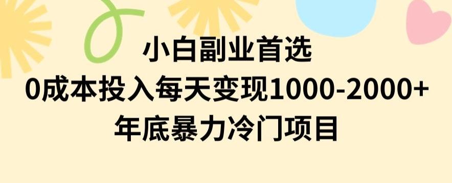 小白副业首选，0成本投入，每天变现1000-2000年底暴力冷门项目【揭秘】-冒泡网
