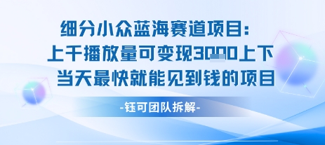 小众蓝海赛道项目：当天变现1k+适合新手操作 +适合长期玩-冒泡网