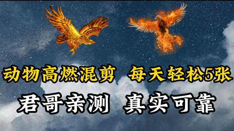 动物超燃混剪，每天轻松5张，剪辑简单大家爱看【揭秘】-冒泡网