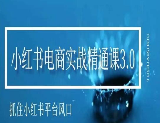 小红书电商实战精通课3.0，抓住小红书平台的风口，不错过有一个赚钱的机会-冒泡网