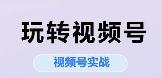 玩转视频号，视频号实战系列课-冒泡网