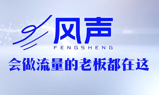 董十一·风声短视频AI获客年度会员-冒泡网