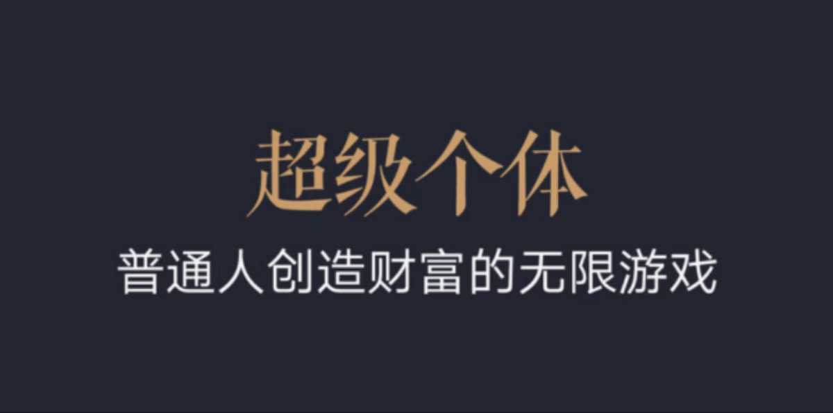 超级个体：2024-2025翻盘指南，普通人创造财富的无限游戏-冒泡网
