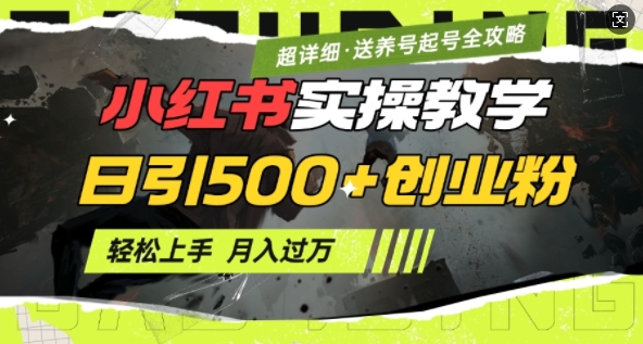 2月小红书最新日引500+创业粉实操教学【超详细】小白轻松上手，月入1W+，附小红书养号起号SOP-冒泡网