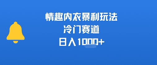 情趣内衣暴利玩法，冷门赛道，日入1k+-冒泡网