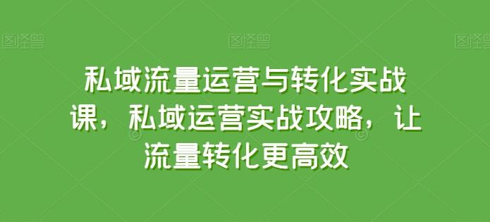 私域流量运营与转化实战课，私域运营实战攻略，让流量转化更高效-冒泡网