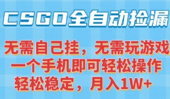 CSGO自动捡漏项目，最新独家玩法，一个手机可操作，新手小白轻松月入1W+，操作简单易上手【揭秘】-冒泡网