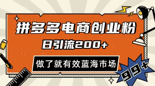 拼多多引流电商创业粉，日引200+，可矩阵放大，做了就有效【揭秘】-冒泡网