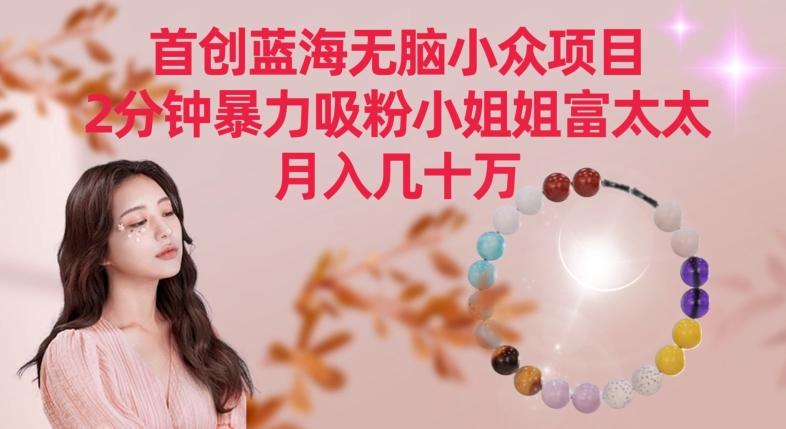 首创蓝海无脑小众项目，2分钟暴力吸粉小姐姐富太太，月入几十万【揭秘】-冒泡网