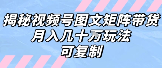 解密视频号图文矩阵带货，月入几个W的打法，可复制-冒泡网