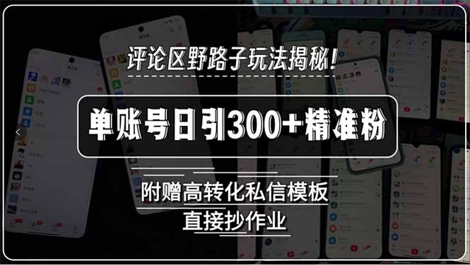 评论区野路子玩法揭秘！单账号日引300+精准粉，附赠高转化私信模板，直…-冒泡网