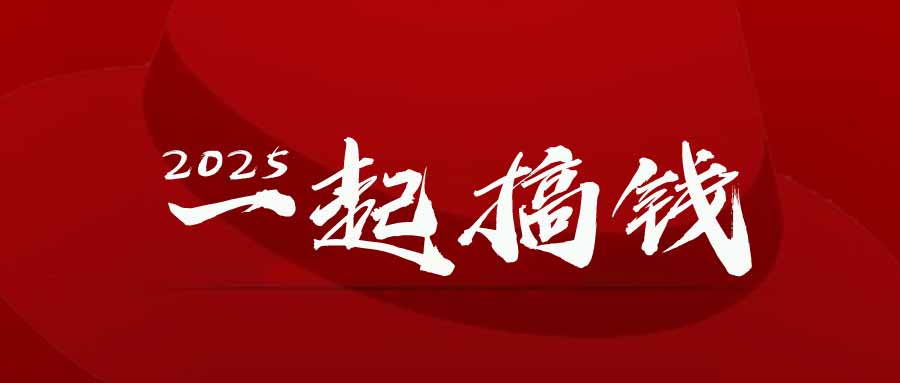 2025年，请“不择手段”去搞钱!-冒泡网