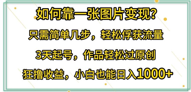 如何靠一张图片变现?只需简单几步，轻松俘获流量，3天起号，作品轻松过原创【揭秘】-冒泡网