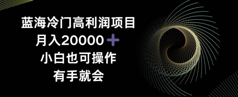 蓝海冷门高利润项目月入2000，小白也可操作有手就会-冒泡网