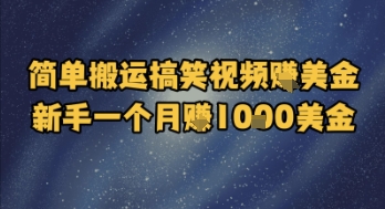 简单搬运搞笑视频挣美金，新手一个月入1k美金-冒泡网